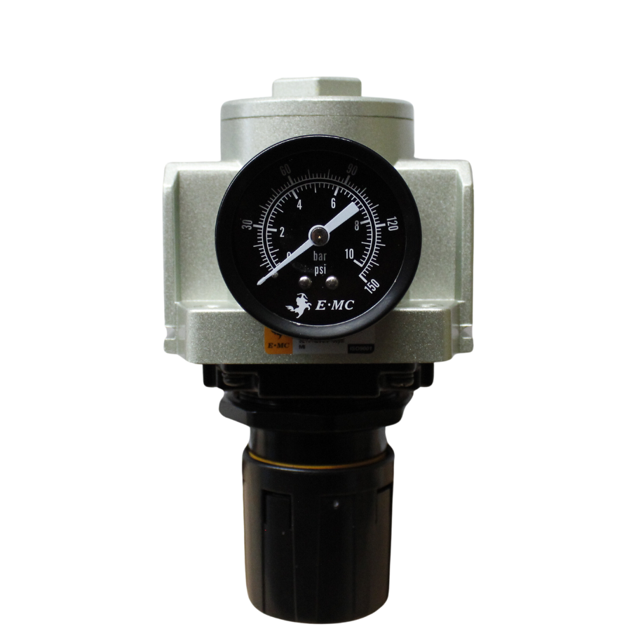 Filtro 5 micras, tamaño 4 purga manual puertos 3/4" NPT