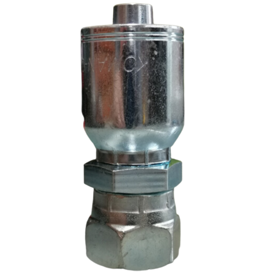 [K2020-0404] HEMBRA BRITANICA, NARIZ DE BOLA  (FBSPORX) 0404