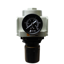 [EAF4000-035M] Filtro 5 micras, tamaño 4, purga manual puertos 3/8" BSP.